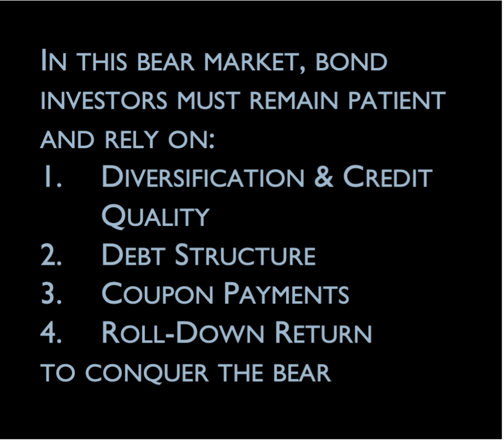 Bond Investors Guide to Conquer the Bear